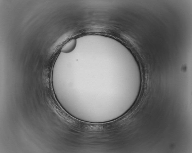 X0000115721403200912031540