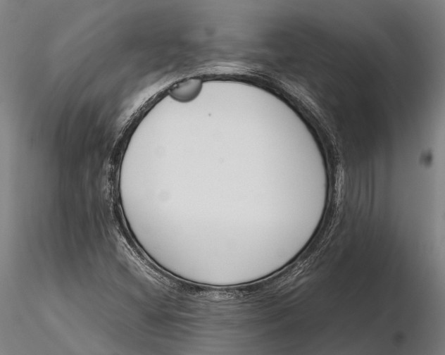 X0000115721404200912031540