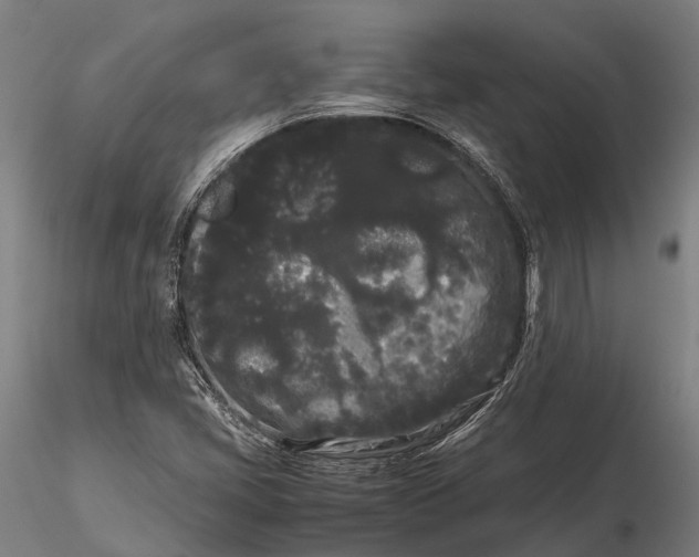 X0000115721405200912031540
