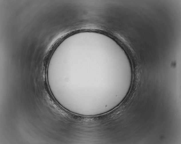 X0000115721408200912031540