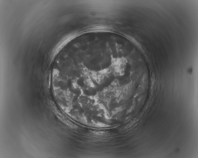 X0000115721413200912031540