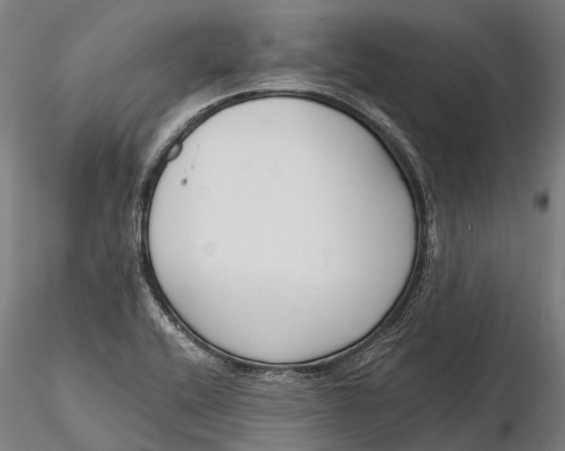 X0000115721416200912031540