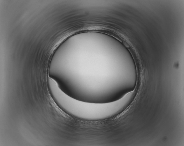 X0000115721417200912031540