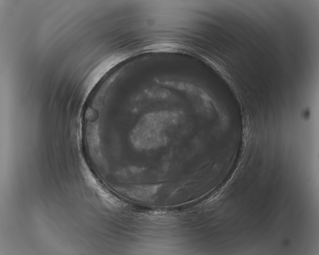 X0000115721418200912031540