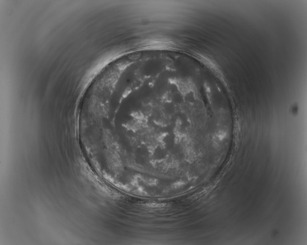 X0000115721419200912031540