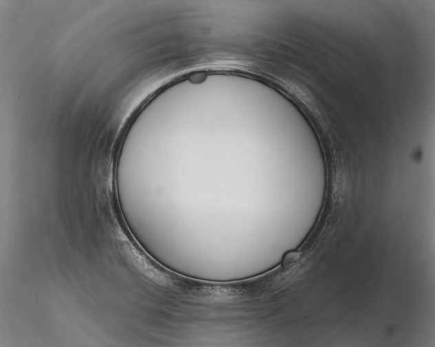 X0000115721420200912031540