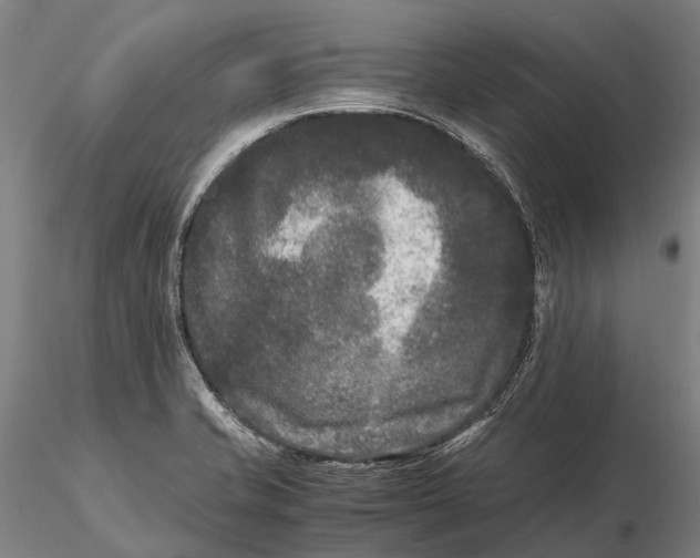 X0000115721421200912031540