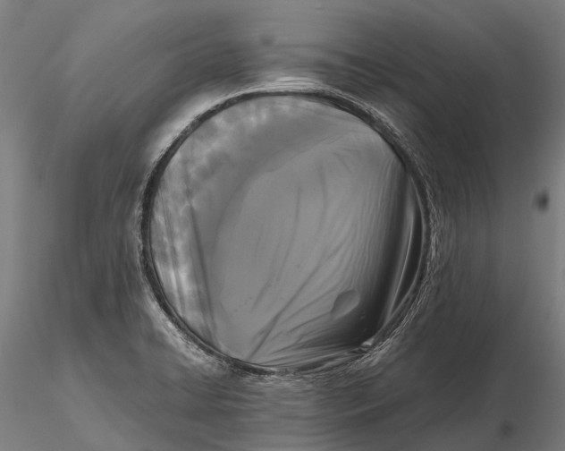 X0000115721422200912031540