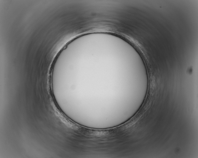 X0000115721423200912031540