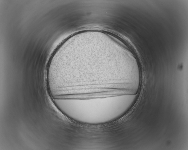 X0000115721424200912031540