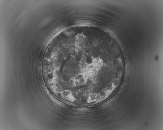 X0000115721425200912031540
