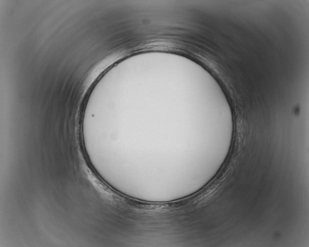 X0000115721426200912031540