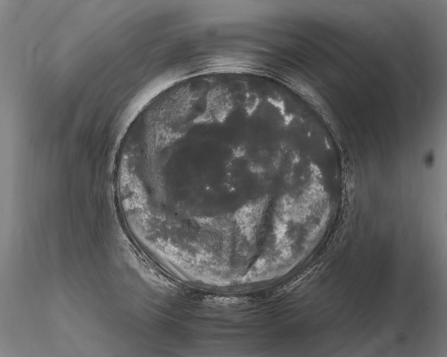 X0000115721427200912031540
