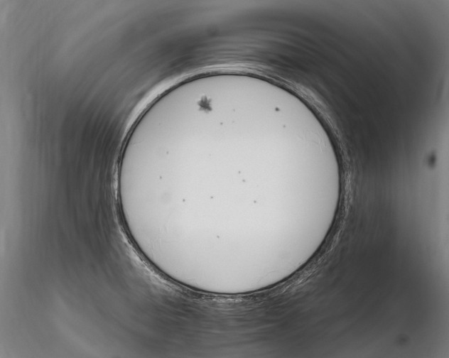X0000115721428200912031540