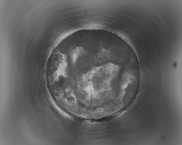 X0000115721429200912031540