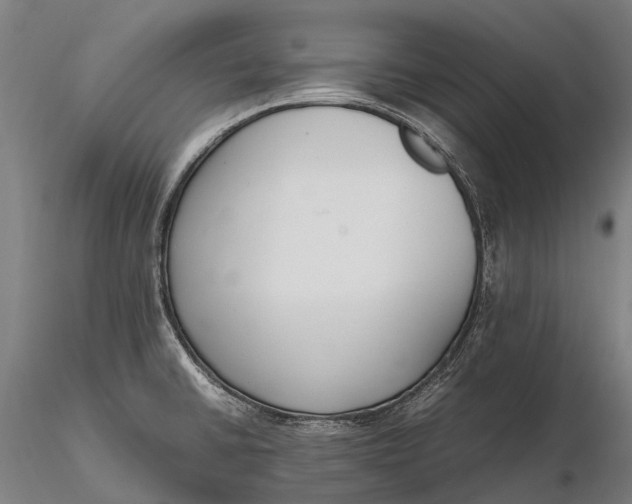 X0000115721430200912031540