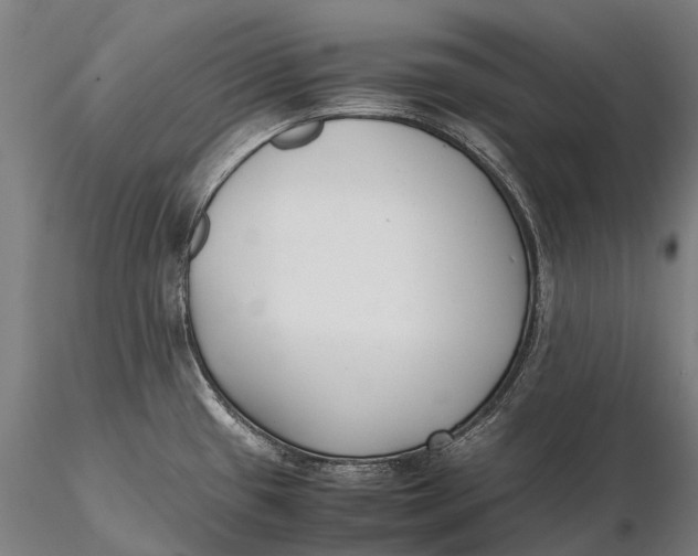 X0000115721433200912031540
