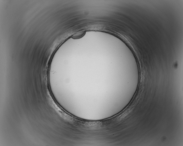 X0000115721434200912031540