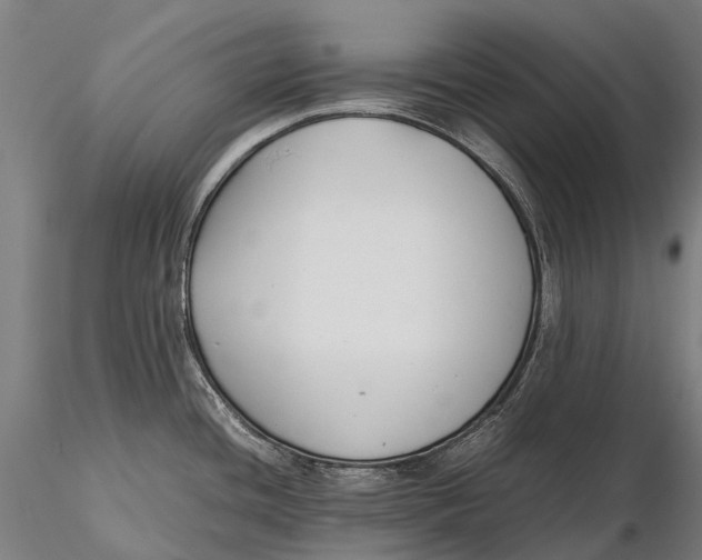 X0000115721436200912031540