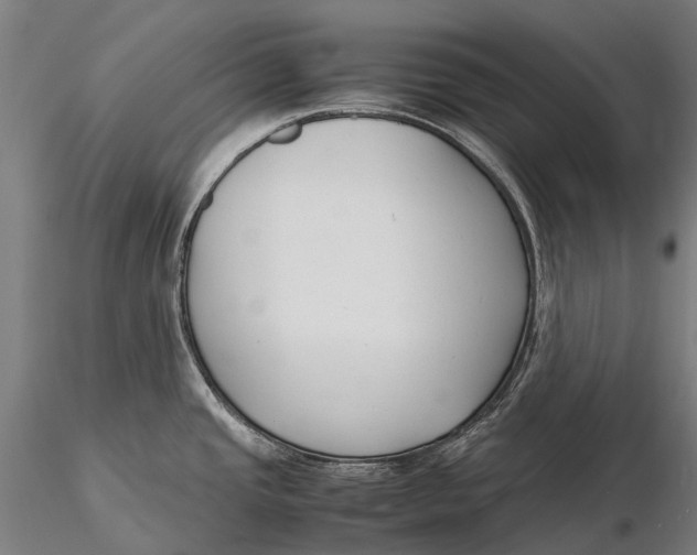 X0000115721437200912031541