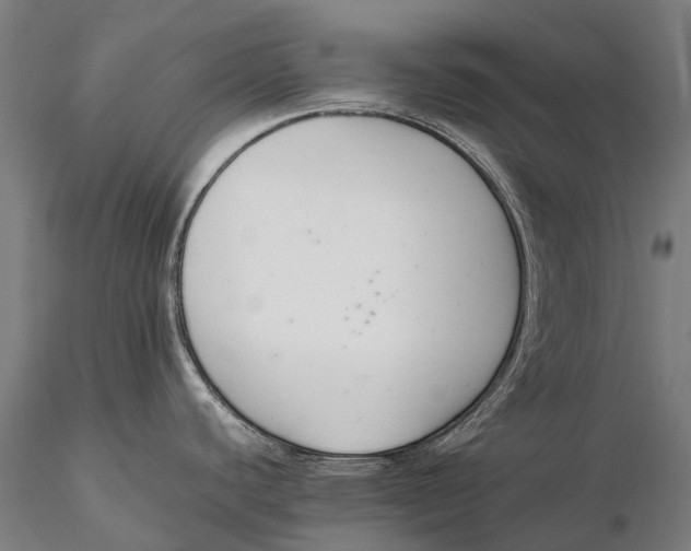 X0000115721440200912031541