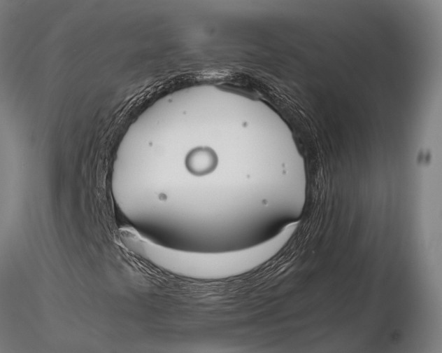 X0000115721441200912031540
