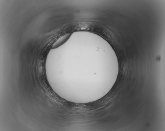 X0000115721442200912031540