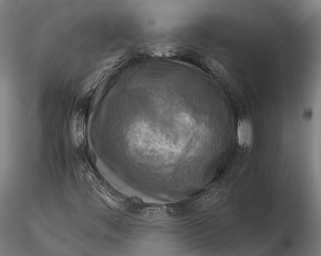 X0000115721444200912031540
