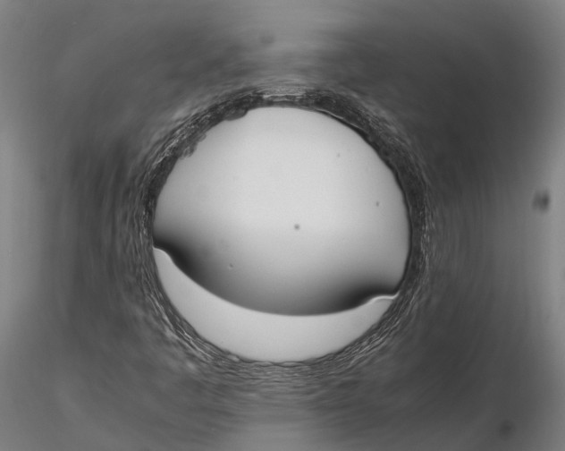 X0000115721445200912031540