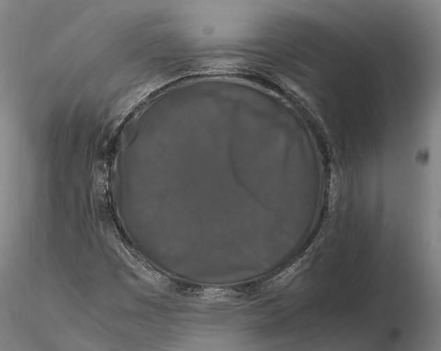 X0000115721449200912031540