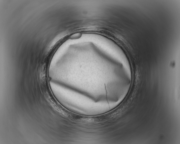 X0000115721450200912031540