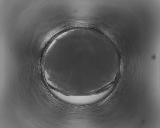 X0000115721453200912031540