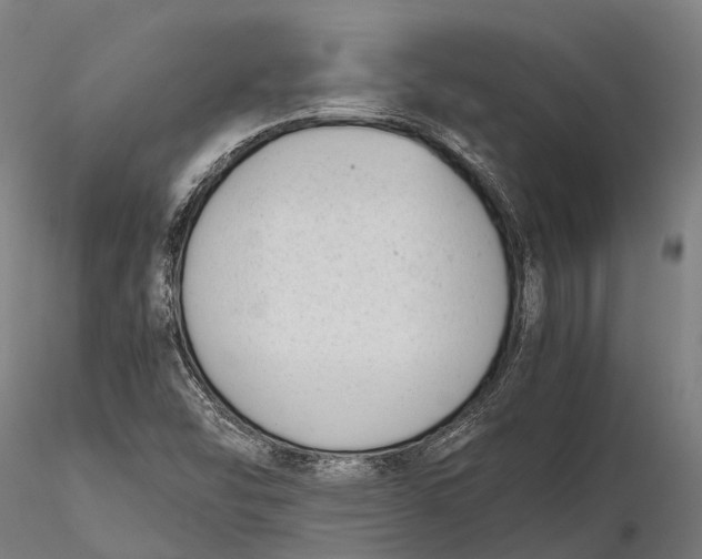 X0000115721454200912031540