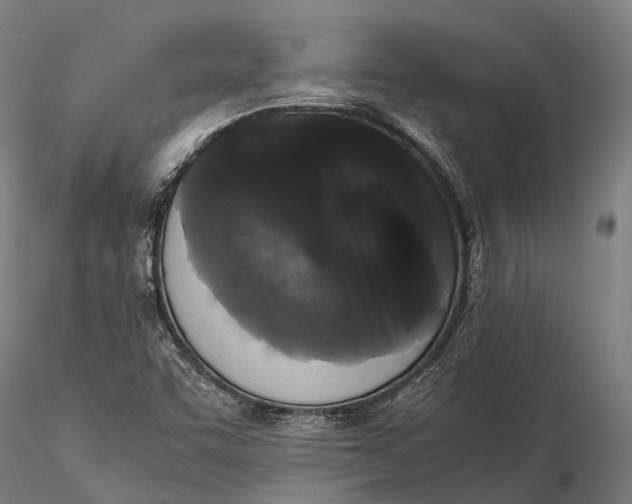 X0000115721455200912031540
