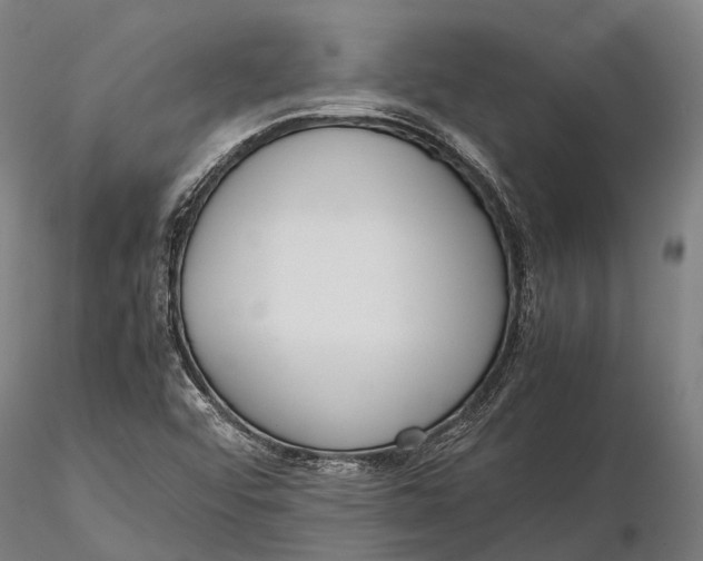 X0000115721456200912031540