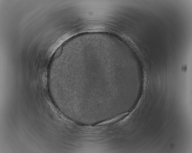 X0000115721457200912031540