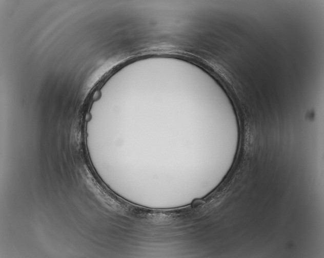 X0000115721458200912031540