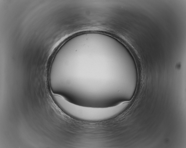 X0000115721460200912031540