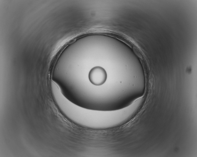 X0000115721461200912031540