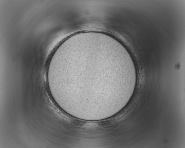 X0000115721462200912031540