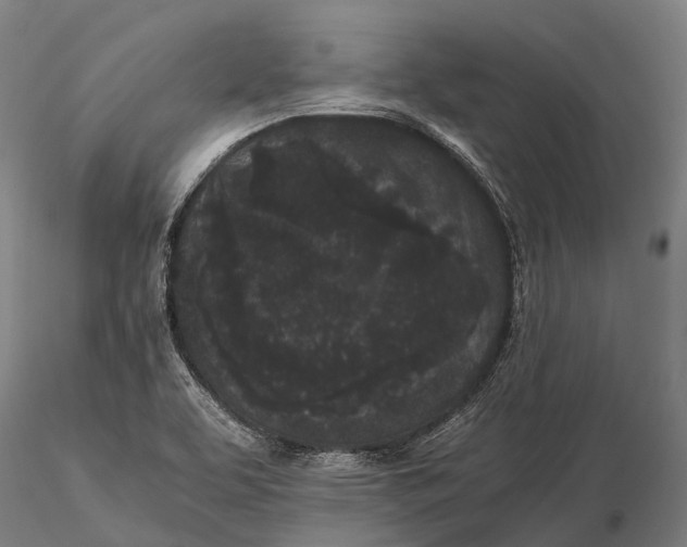 X0000115721463200912031540