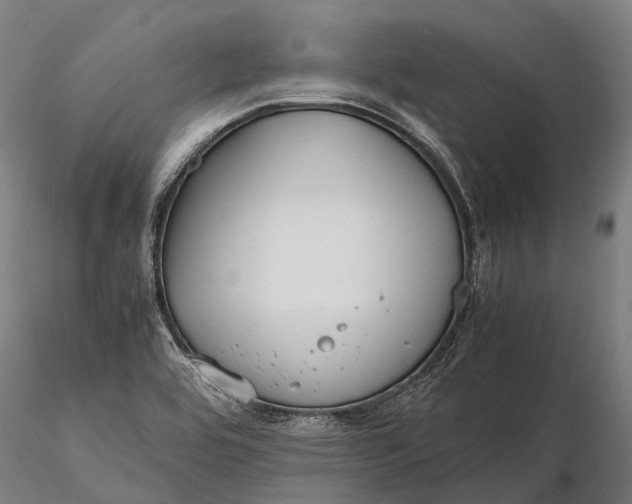 X0000115721464200912031540