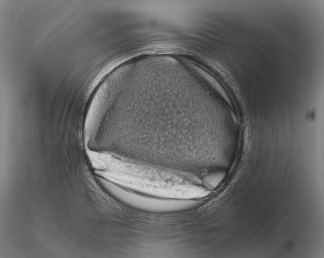 X0000115721465200912031540