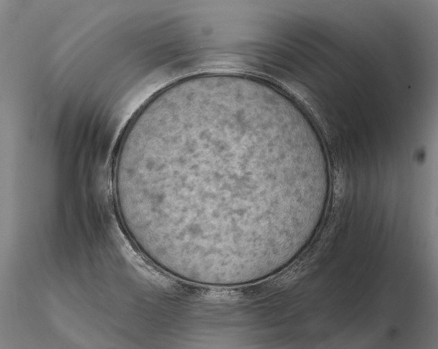 X0000115721466200912031540