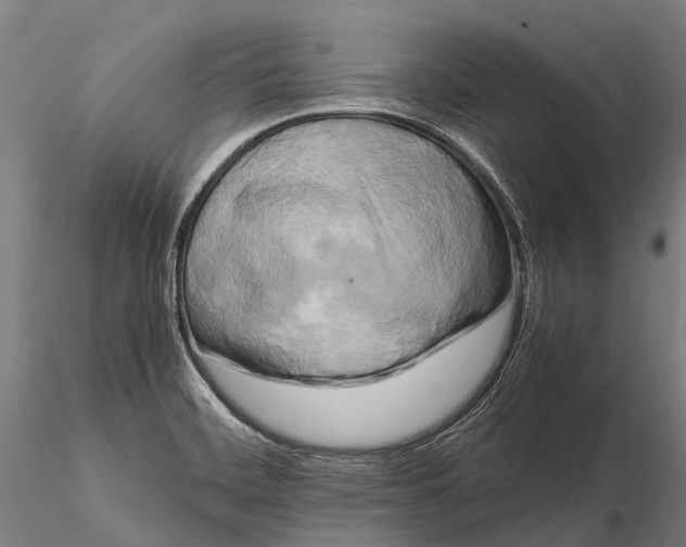X0000115721468200912031540