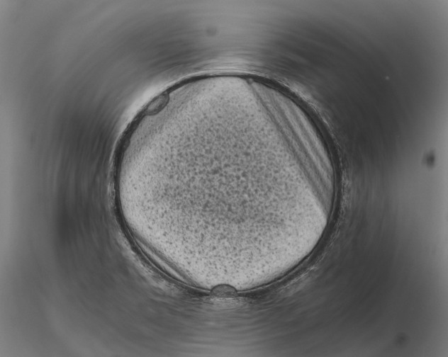 X0000115721469200912031540