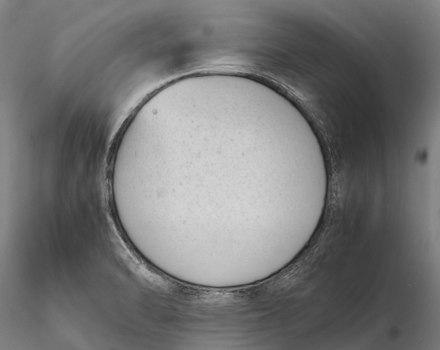 X0000115721470200912031539