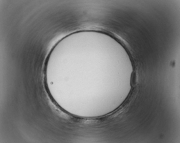 X0000115721471200912031539