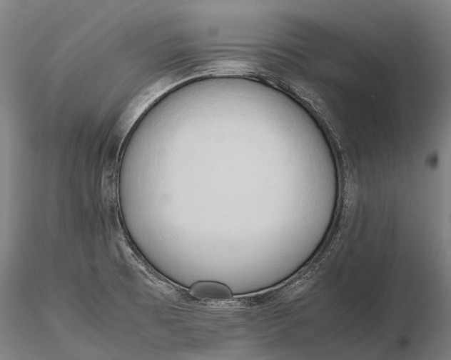 X0000115721473200912031539