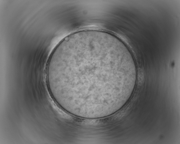 X0000115721474200912031539